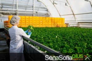 Carrera técnica Sena Sofia agroindustria alimentaria