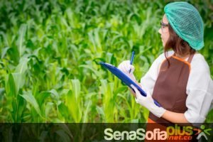 Producción y Consume Sostenible Sena